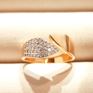 Anel Ajustável Banhado Ouro - 09014040